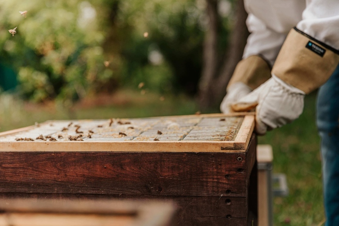 Colmena y apicultor Blog
